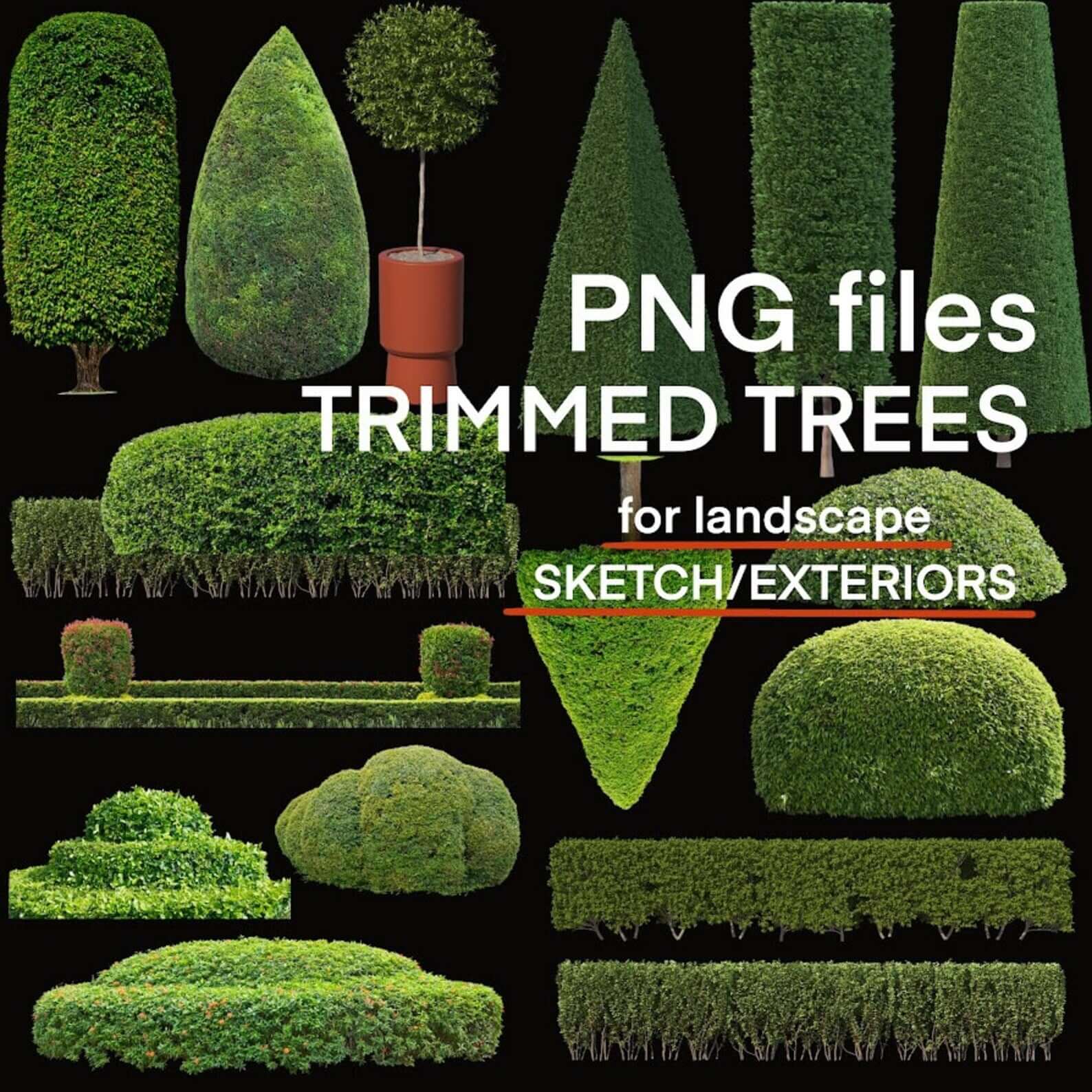 High-Res Cutout Trees PNG set with a FREE GIFT included. Architectural landscape assets.