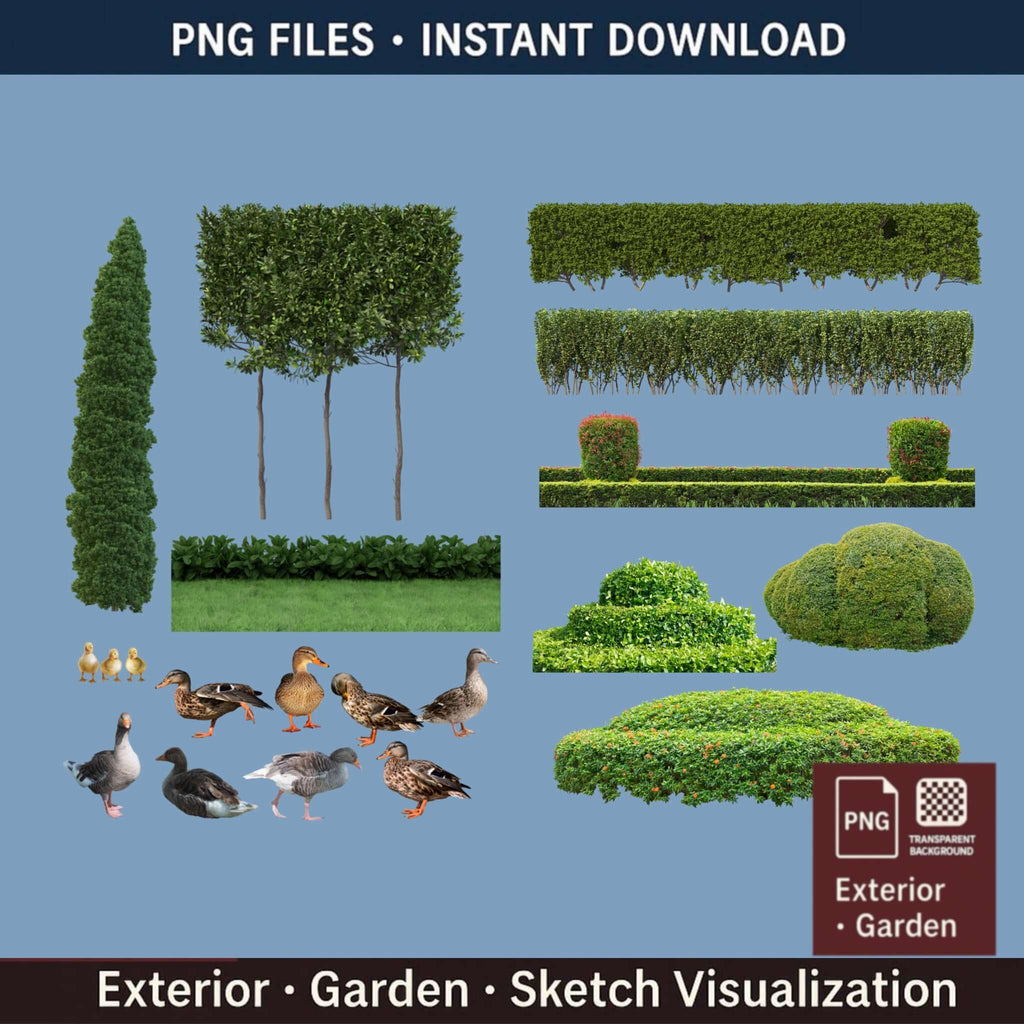 37 Clipped Trees PNG | for Architecture & Landscape Renders + GIFT - Procreate Brush Shop by Sviatlana Fedzianiova