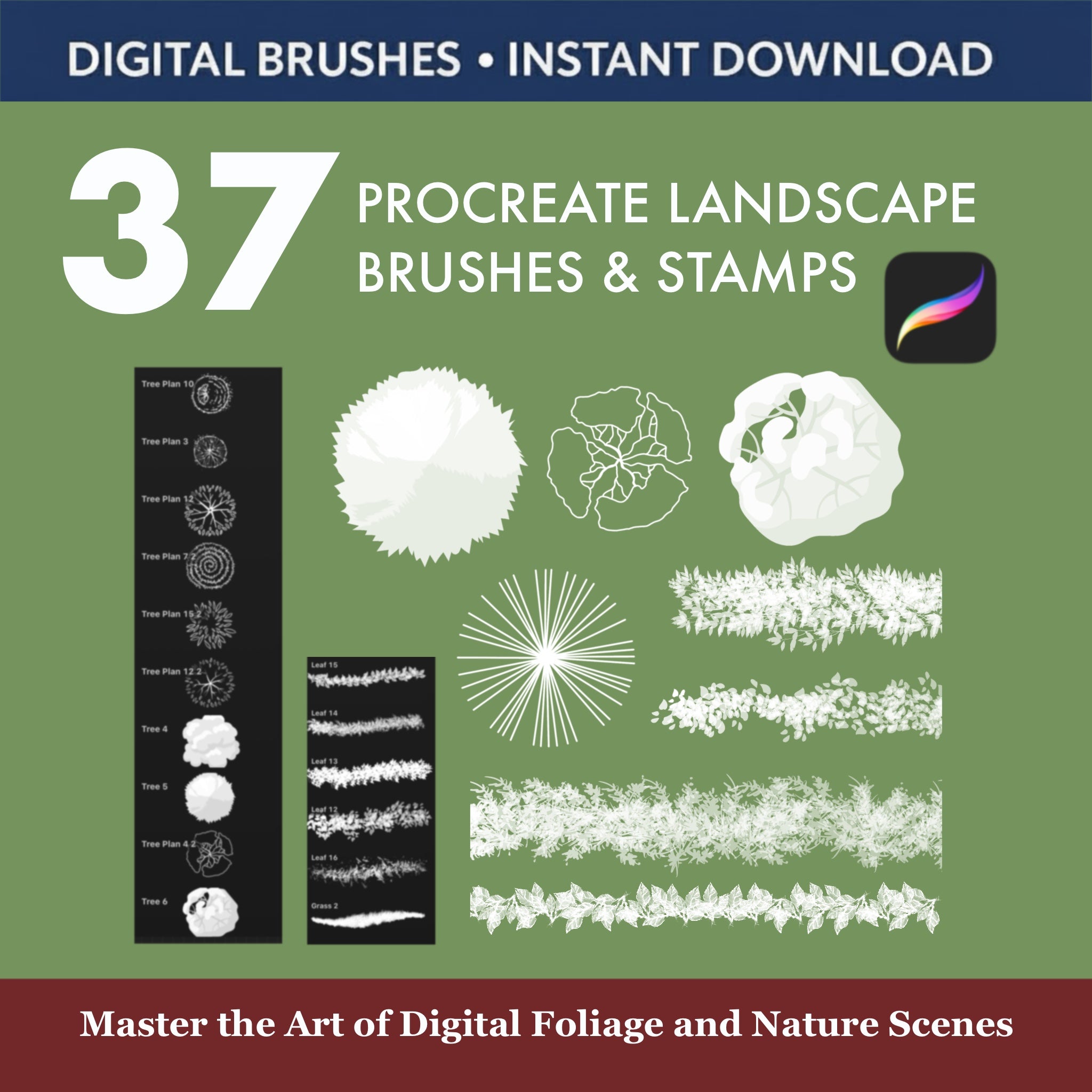 Garden masterplan drawn on iPad using Procreate landscape design brushes