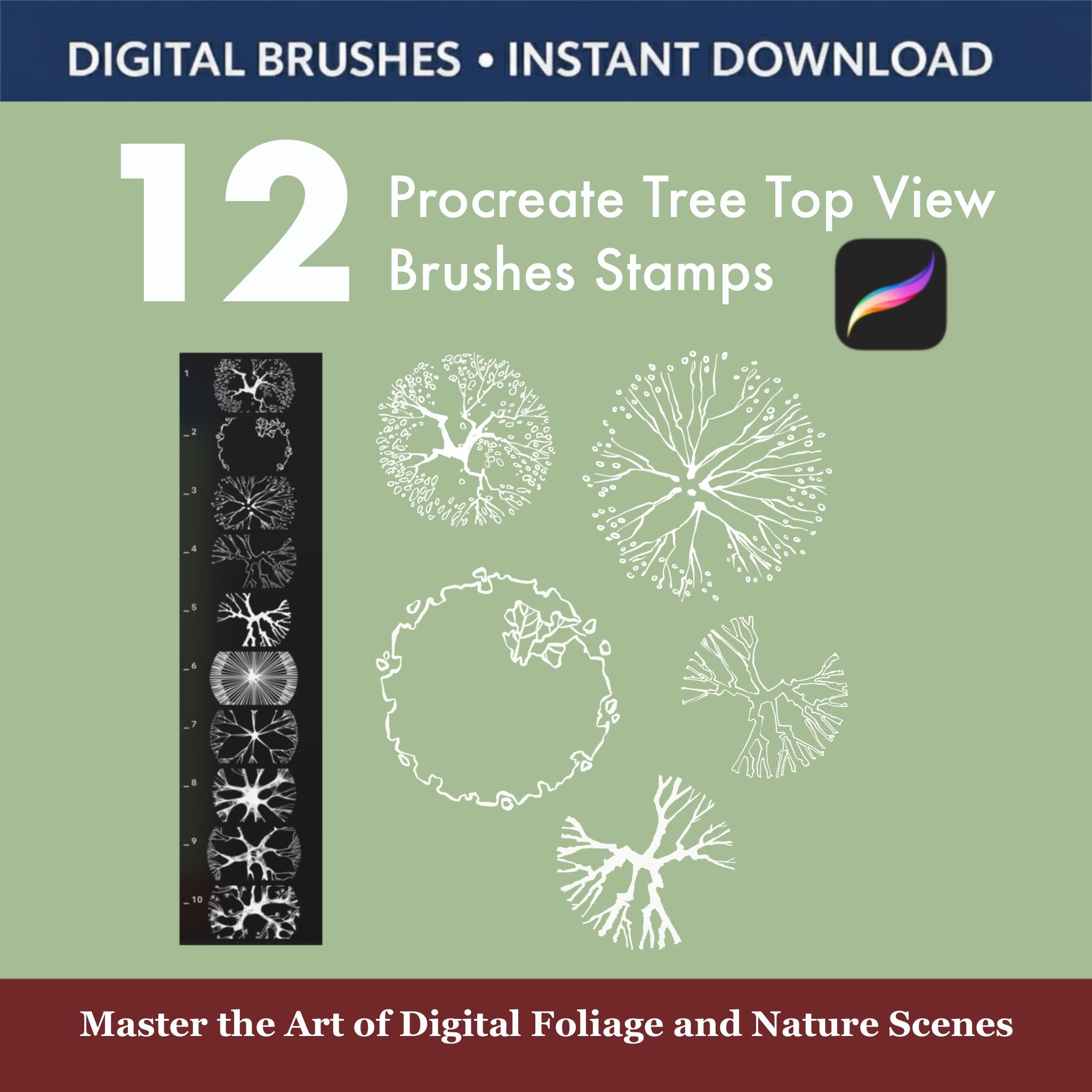 12 Procreate tree top view brushes stamps for landscape garden planning on iPad