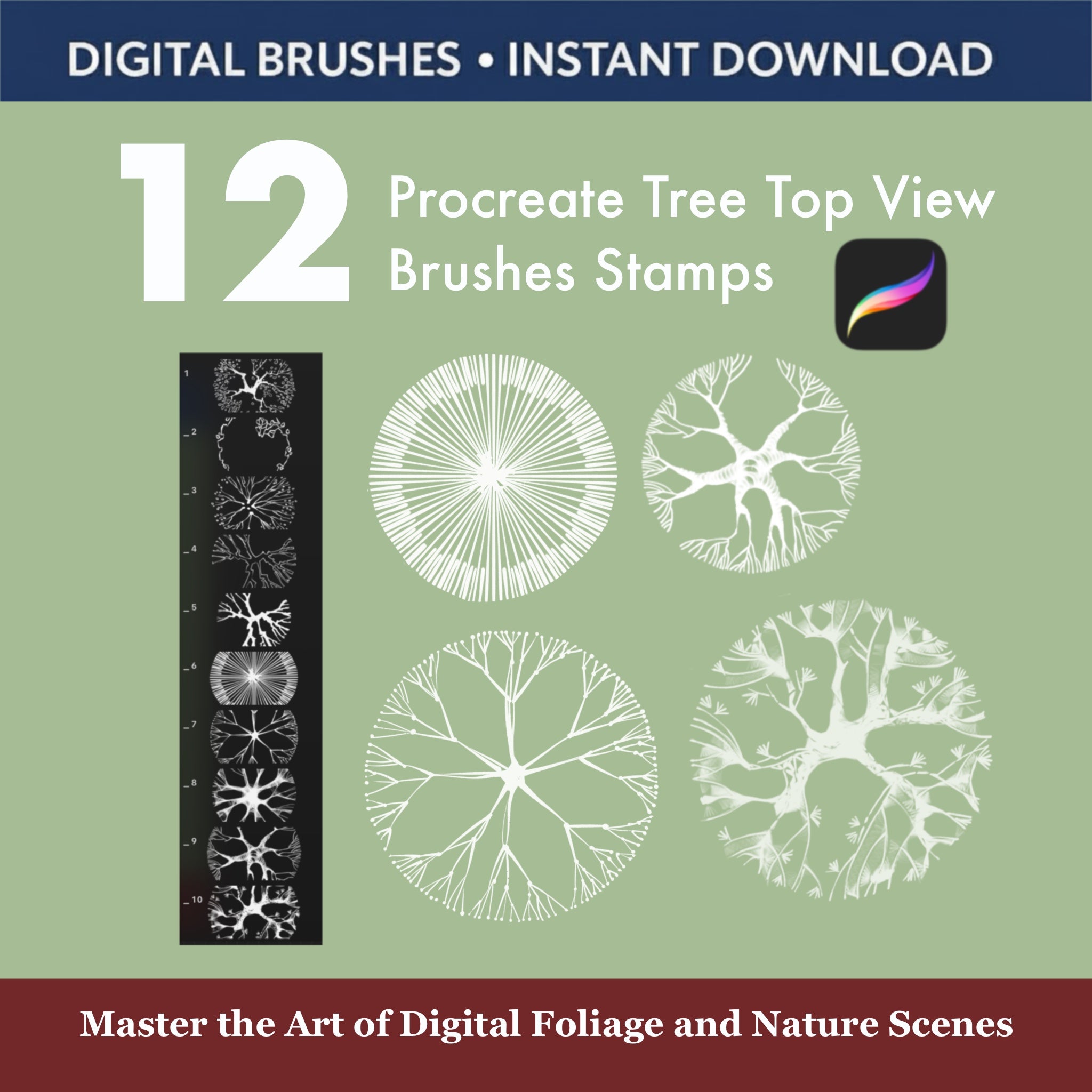 Procreate tree canopy stamps collection for park and site plan layouts