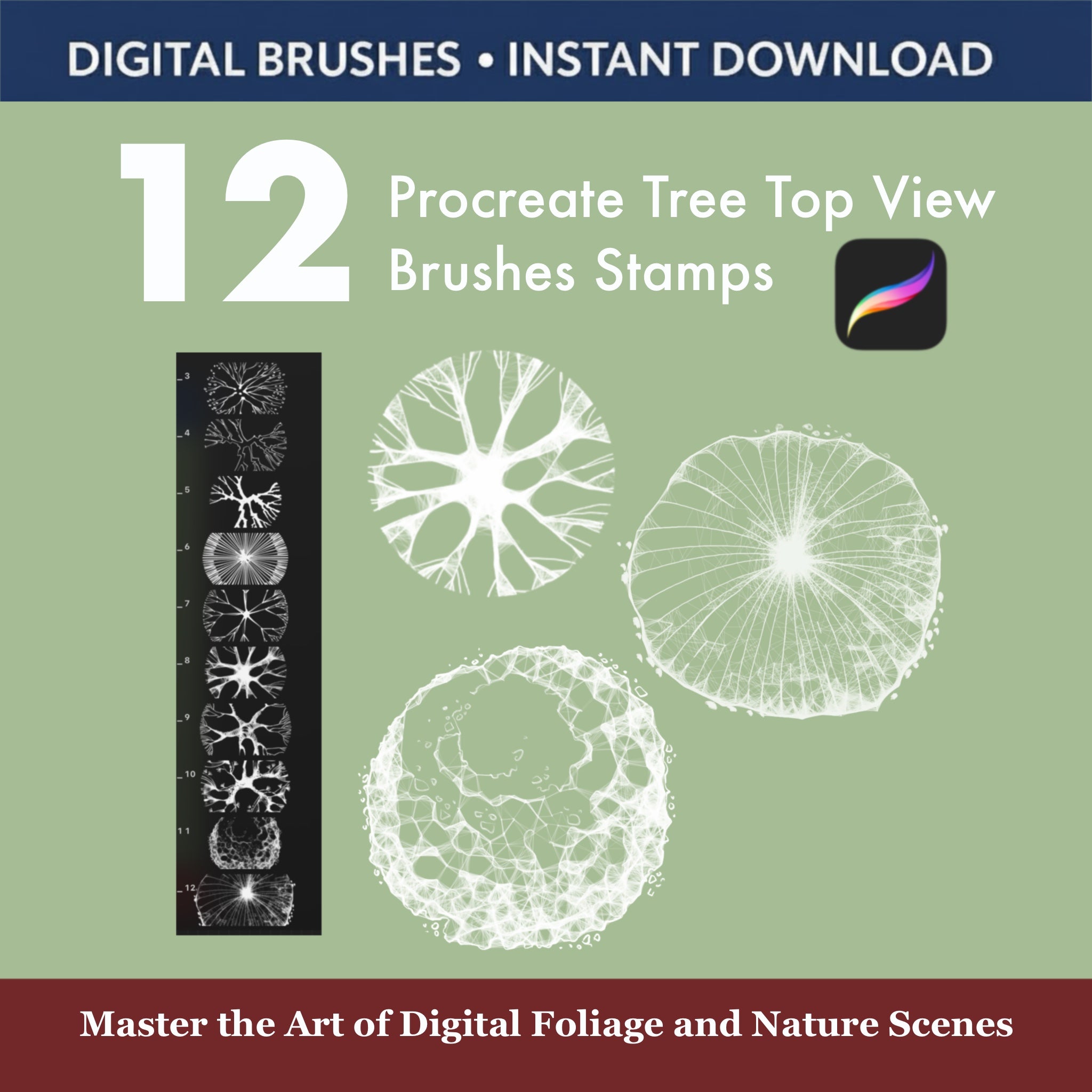Top view tree brushes for Procreate shown in architectural landscape masterplan